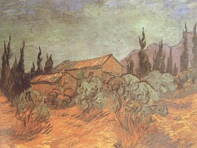 Vincent Van Gogh Wooden Sheds (nn04) china oil painting image
